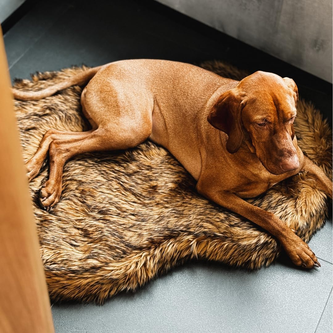 iHappyDog Luxury Faux Fur Orthopedic Dog Bed, Memory Foam Dog Bed for Small, Medium, Large and XL Pets, Fluffy Pet Rug with Waterproof & Washable Cover (Brown, Giant 60x35inch)